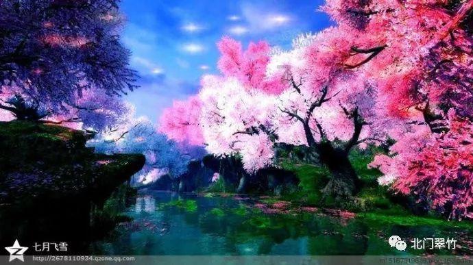 硕大的苹果
