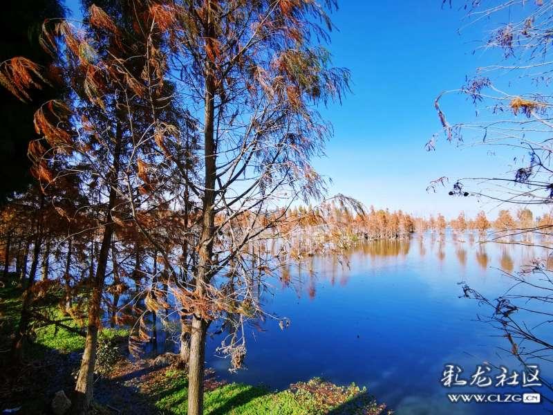 波切蒂诺：杰克逊可能会首发，他为什么不能为我们打进致胜一球呢
