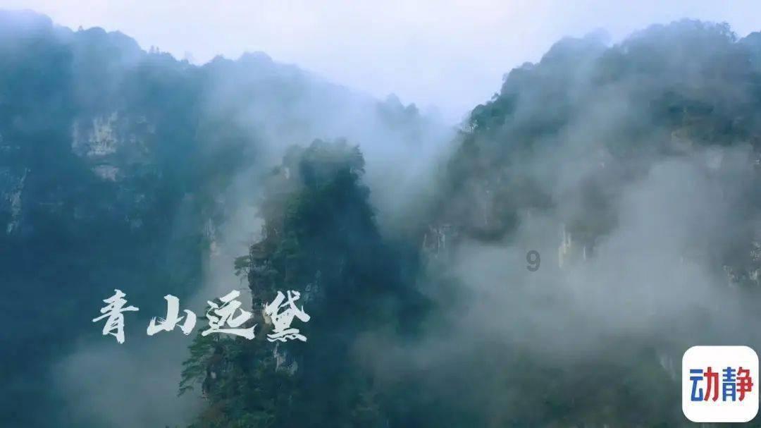 小猫钓鱼正版下载中文版