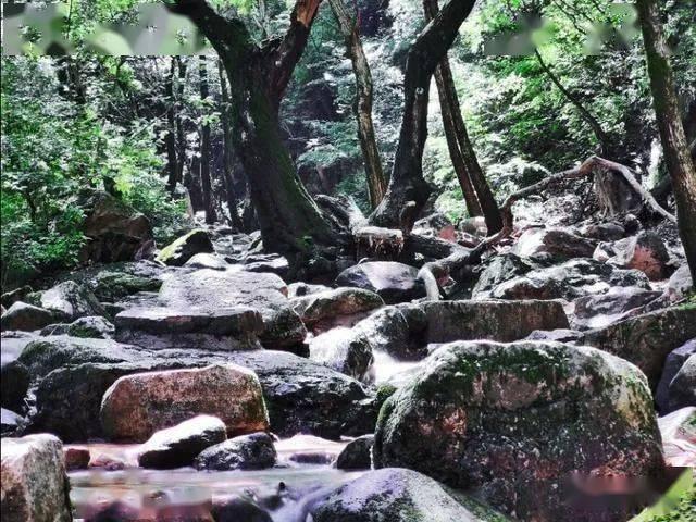 拯救精灵的土地9